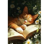 Cat Paint by Numbers for Adults Book Paint by Numbers for Kids Beginners, Oil Paintings Craft Art Kits for Adults, Painting by Number with Acrylic Paint Brushes for Home Wall Decor 70x90cm, Model 881