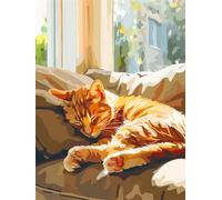 cat Paint by Numbers for Adults, Sofa Simple Painting by Numbers for Children, Cheerful Number Painting Craft, Premium Paint by Number Kits, for Home Decoration & Unique Birthday Gifts 60x80cm z-294