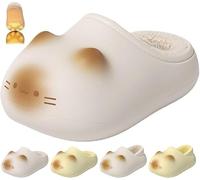 Cat Paw Print Shoe, 3D Fluffy EVA Cat Paw Slippers, Womens Cozy Warm Cute Funny Winter Non-Slip House Shoes (beige, UK 3.5)
