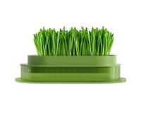 Cat Plant Container, Cat Planter | Transparent Cat Bowl | Safe Cat Planter, Transparent Cat Bowl for Indoor Cats