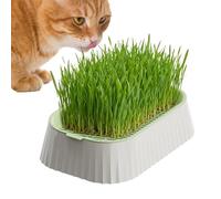 Cat Planter - Non Slip Compact Bottom Tray, Cat Growing Kit 7.48x4.92x1.97 Inch, Soilless Box, Chew Treat Container