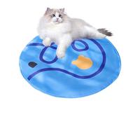 Cat Play Mat and Toy, Portable and Lightweight Play Accessories for Pets, Rolling Cat Ball in the Play Mat, for Cat Babies Family, for Indoor and Outdoor Use, for Home Travel