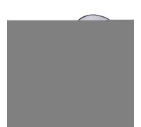 Cat Play Pen, Cat Run with Tunnel and Dog Run - Foldable Enclosure for Small Animals at Home, Camping & Travel