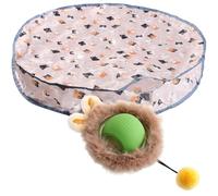 Cat plays mat with a teaser ball