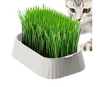 Cat Pot for Indoor Cats, Indoor Pet Pot, Double Layer Earthless Cultivation Kit, Healthy Pet Accessory Grows Green Grass Box Nursery Home Gardening