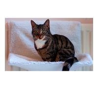 Cat Radiator Bed Soft Washable Cradle Hammock Animal