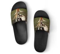 Cat Red Tabby Kitten Animal Unisex Shower Slippers Non Slip Slides Bathroom Beach Pool Sandals