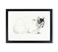 Cat Resting by Jean Bernard Framed Print | A2 Black Framed Wall Art | Ready to Hang | Modern Animal Picture | Living Room Bedroom Lounge Office