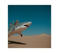 Cat Riding A Shark in The Abstract Desert Canvas Poster Bedroom Decor Landscape Office Room Decor Gift 24x24inch(60x60cm)