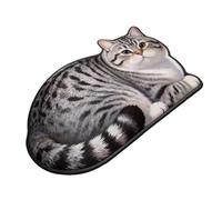 Cat Rug - Quick Drying Floor Room Decor,Area Rug Bathroom Floor Mat | for Indoor Home Front Door Entryway Shower Kitchen Bedroom Living Room Hallway Apartment