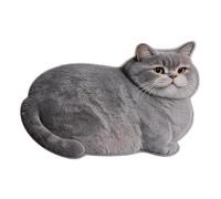 Cat Rug | Washable Quick Drying Carpet | Area Rug Bathroom Floor Mat - for Indoor Home Front Door Entryway Shower Kitchen Bedroom Living Room Hallway Apartment