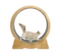 Cat running Wheel Cat Treadmill Safety Lock, Stable Load-bearing Circular Loop Silent Track, Carefully Polished Cat Toys(M)