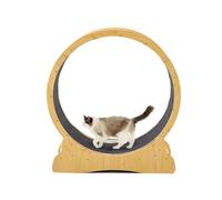Cat running Wheel Cat Treadmill Silent Exercise Fitness Roller Turntable Climbing Frame Running Wheel Pet Toys Home Indoor Cat Toys(B)