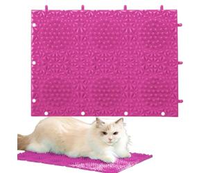 Cat Scratcher - 24.6 x 18.1 cm Toy Rug to Relieve Itchy Skin, 9.7 x 7.1 Inch Massage Cat Scratching Rug | for Grinding Claws, Stress Relief, Enriching the Floor, Play Activity