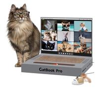 Cat Scratcher Laptop