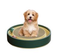Cat Scratchers for Indoor Cats | Post Pad Interactive Training Exercise Toy with Ball | Durable Cat Toy Ball Track for Furniture Protection, Supports Pet Behaviors, S