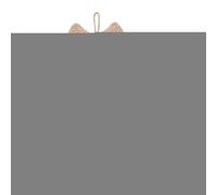 Cat Scratching Board - Cat Scratching Post,Anti-Scratch Protection Cute Interactive Hangable Kitten Toy for Indoor Kitten Home Sofa Couch Play Floor