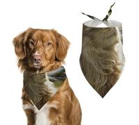 Cat Sitting in Green Field Printed Pet Scarf Polyester Triangle Scarf - One Size (27.6in X 11.8in)