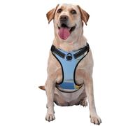 Cat Sitting On A Greek Terrace No Pull Dog Harness Adjustable Reflective Oxford Easy Control Medium Large Dog Harness
