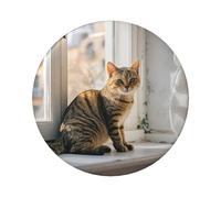 Cat Sitting On Windowsill Button Pins 1 Pc, 2.4 Inch Round Button Badges Metal Personalized Picture Photo Pin Buttons Kit For Craft Supplies Christmas Diy Party Projects, 12 PCS, One Size