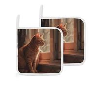 Cat Sitting on Windowsill Pot Holders Set of 2 Kitchen Heat Resistant Potholder Square Hot Pads with Hanging Loop Home Decor for Cooking Baking BBQ Grilling Microwave Oven