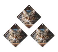 Cat Sleeping Car Air Freshener, 3 Pcs Rhombus Hanging Air Freshener Cards, Long Lasting Fragrance Scented Cards for Car, Home, Office Black-style