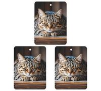 Cat Sleeping Car Air Freshener, 3 Pcs Square Hanging Air Freshener Cards, Long Lasting Fragrance Scented Cards for Car, Home, Office White-style