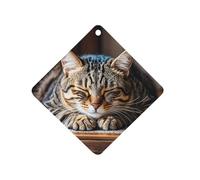 Cat Sleeping Car Air Freshener Hanging, Long Lasting Scented Car Aromatherapy Tablets, Rhombus Fragrance Scented Cards for Vehicles, Bedroom, Wardrobe Black-style