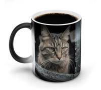 Cat Smashes Glass in Car Coffee Mug Thermochromic Funny Discoloration Mug