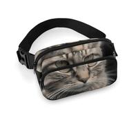Cat Smashes Glass in Car Fanny Pack with Multiple Pockets, Personalized Waist Bag with Zipper, Multifunctional Bum Bags for Travel, Belt Bag with Adjustable Strap, Crossbody Bags