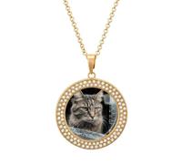 Cat Smashes Glass in Car Multicolored Diamond Necklace, Clavicle Neckband | Alloy Dots Diamond Necklace for Travel, Round Pattern Pendant for Women Men, Colorful Sparkle Pendant