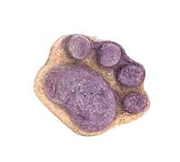 Cat Snack - Paw Shaped Cat Snack, Crunchy Snacks, Kittens Foods Treat, Cats Treat Selection, Cats Snacks Variety Pack, Healthy Treats For Kittens, Natural And Organic Kitten Treats For All Breeds A