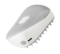 Cat Steam Brush - ABS Steamy Pet Brush Cleaner | Cat Fur Steam Remover, Hot Dog Hair Brush, Loss Massage Brush For Anim