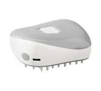 Cat Steam Brush - Pet Spray Floating Hair Comb | Hair Comb Removes Hair Without Hurting The Skin Pet Self-cleaning Comb, Anti Flying Hair Spray Comb For Indoor Cats Dogs Hair Removal