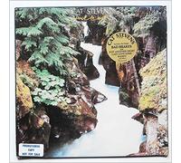 Cat Stevens - Back To Earth