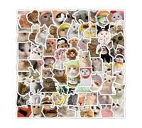 Cat Sticker - 100Pcs Self-Adhesive Cat Meme Stickers | Kawwaii Vinyl Sticker Pack | Waterproof Cat Water Bottle Sticker for Laptops, Notebooks, and Scrapbooking