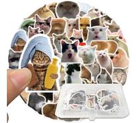 Cat Stickers Funny Meme Design Decals with Storage Box, Cute Stickers Waterproof Finish, Laptop Stickers Creative Aesthetic Style, Sticker Pack Suitable All, Cats Stickers for Scrapbooking Diary Use