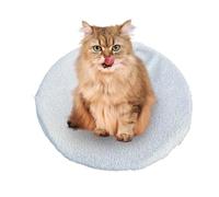 Cat Table Bed - Modern Hammock Stand, Pet Loungers in Furniture Style | High Rest Area for Small Cats, Cozy Sleeping with Wooden Frame,