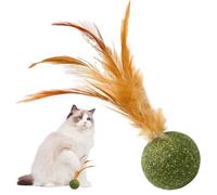 Cat Teething Ball - Cat Based Chew Toy, Soft Texture Bite Training Accessory, Mental Stimulation Play Object, Stress Relief Interaction with Tail Pen