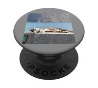 Cat that looks pleasant in the sun_001 PopSockets Adhesive PopGrip