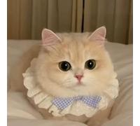 Cat-themed pure cotton lace bib with drool, pet bow, cute scarf, decorative bib, dog bib accessory (Red Bowknot, S [Recommended Less than 3.50kg])