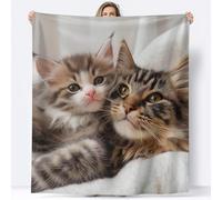 Cat Throw Blanket 200 x 200 cm Cute Animals Flannel Fluffy Fleece Blanket Soft Lightweight Warm Blankets and Throws for Bed Sofa and Couch A-3952