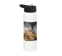 Cat Tornado Selfie Meteorologist Stainless Steel Insulated Water Bottle