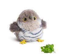 Cat Toy Bird Electric - Interactive Cat Toy with Fluttering Wings & Chirping, Motion Sensor & Catnip, USB-C Rechargeable (Grey)