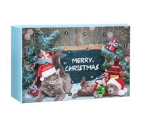 Cat Toy Christmas Advent 2025 - 12.6 Inch Holiday Calendar | Pet Toy Box Made of Paper PP - 24 Daily Interactive Toys for Cats and Kittens | Festive Cat Play Calendar