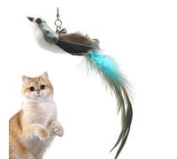 Cat Toy, Interactive Bird Cat Toy, Play Chasing Toy, Cat Bird Feather Toy Interactive Cat Feather Toy Bird with Bells for Indoor Cats Play Exercise Product Weight: 10g