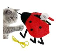 Cat Toy, Ladybug Cat Toy - Sound Cat Ladybug Teaser Catnip Infused, Vibration Sensation Hangable Self-Understanding Game for Kittens