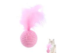 Cat Toy | Pet Chasing Toys Balls | Bite Resistant Cat Toy Ball Cat Toys with Feathers for Cats Pets