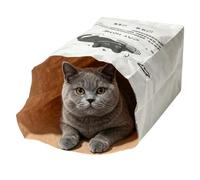 Cat Toy Tunnel Bag Concealed Sound Paper Bed