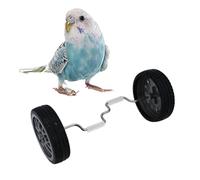 Cat Toys For Indoor Cats, Pet Training Clicker With Wrist Strap, Cat Toys Interactive For Indoor Cats, Beneficial Bird Intelligence Trick Prop Toy Safe For Finch Long Tailed Parrot Grey Parrot